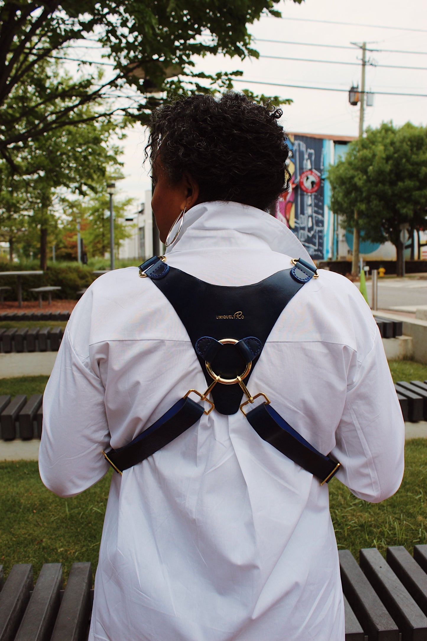 Valet Harness Consultation