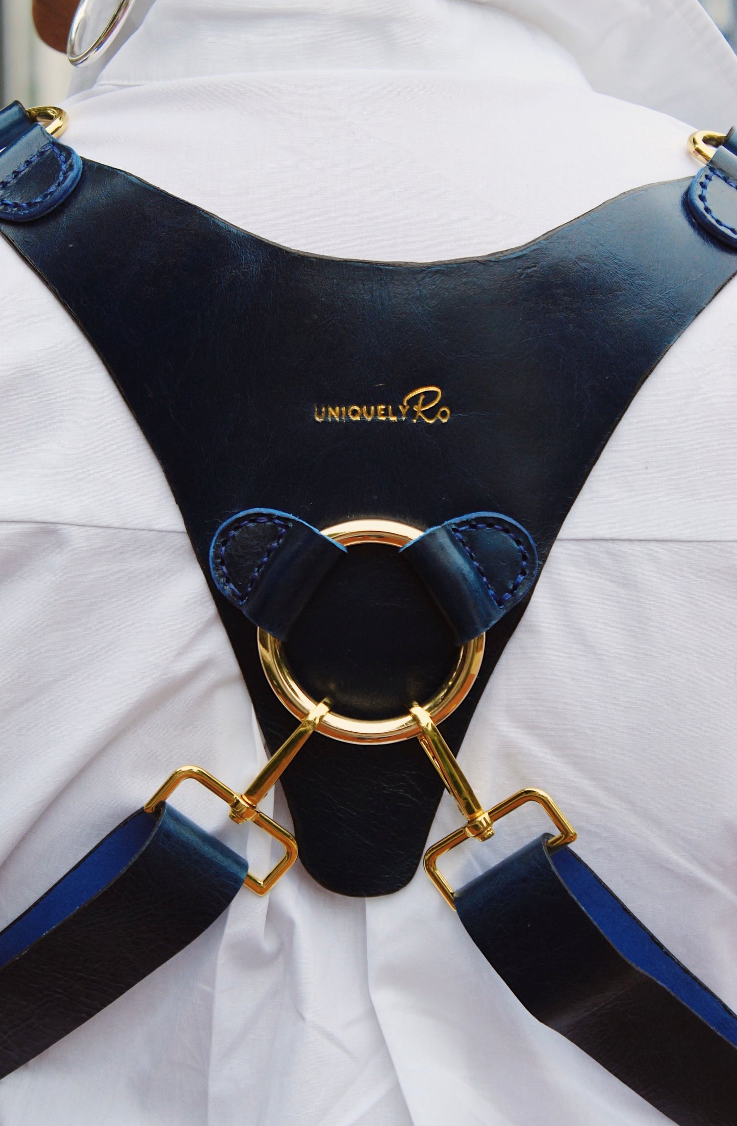 Valet Harness Consultation